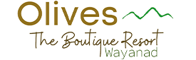 Olives Resort Wayanad Logo